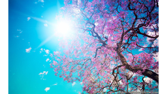 spring-nature-wallpaper-hd-Is-Cool-Wallpapers