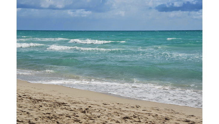 beach-with-blue-sky-public-domain-picture-1-1