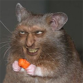 RattKillin's picture