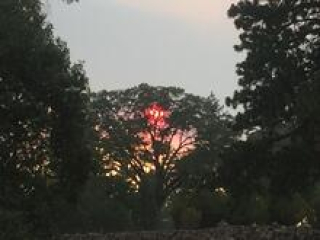 MammsieGraham's picture