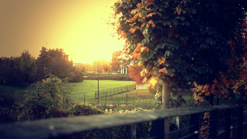 park_traffic11.gif